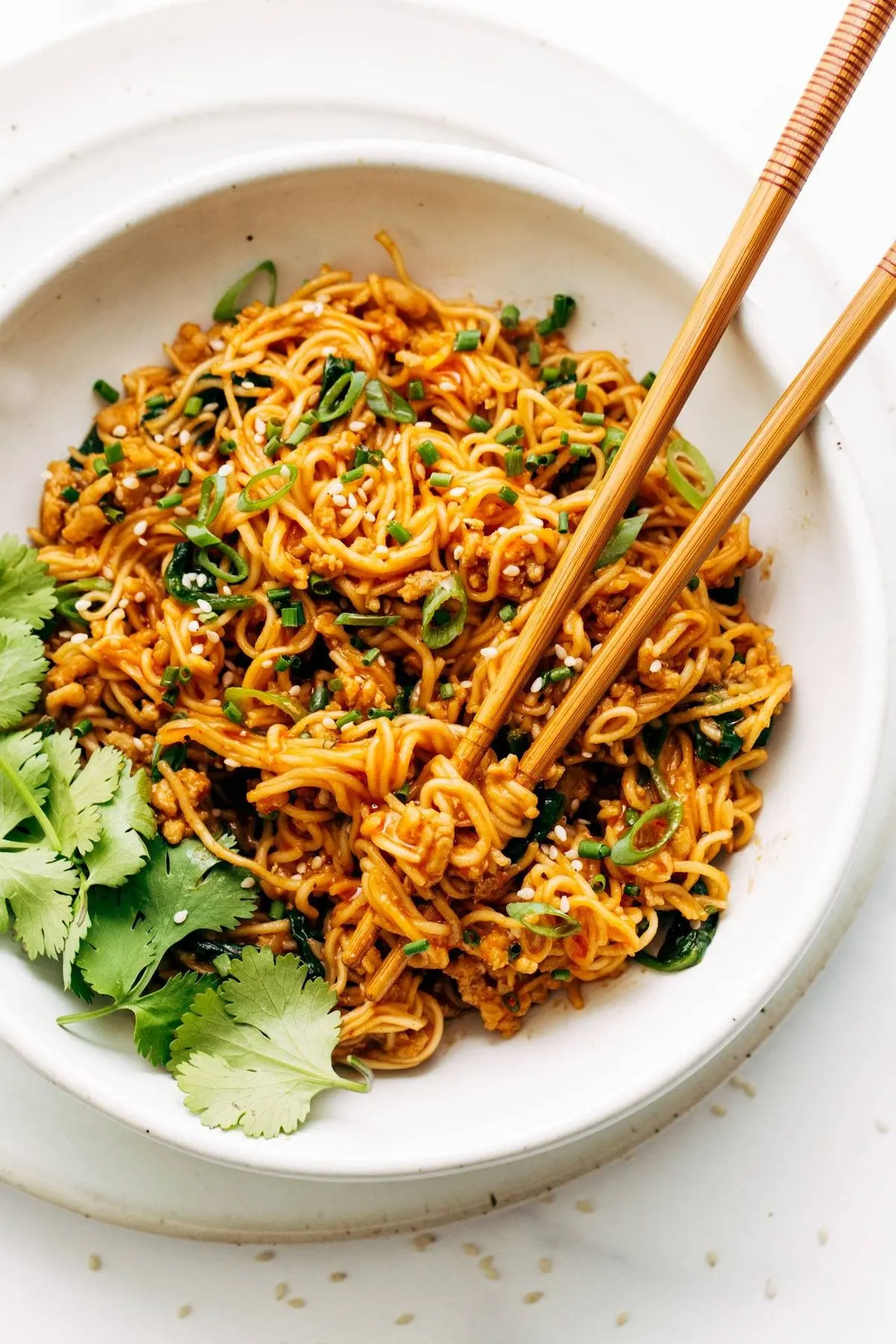 Saucy Gochujang Noodles with Chicken Recipe - Pinch of Yum
