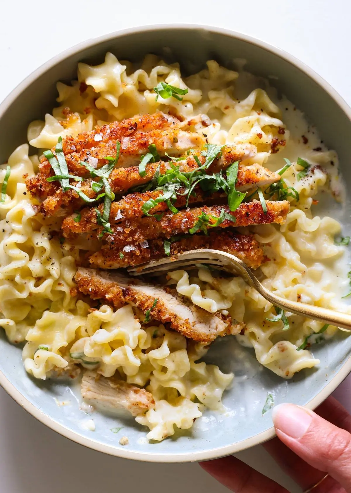 Crispy Parmesan Chicken with Creamy Lemon Pasta Recipe - Pinch of Yum