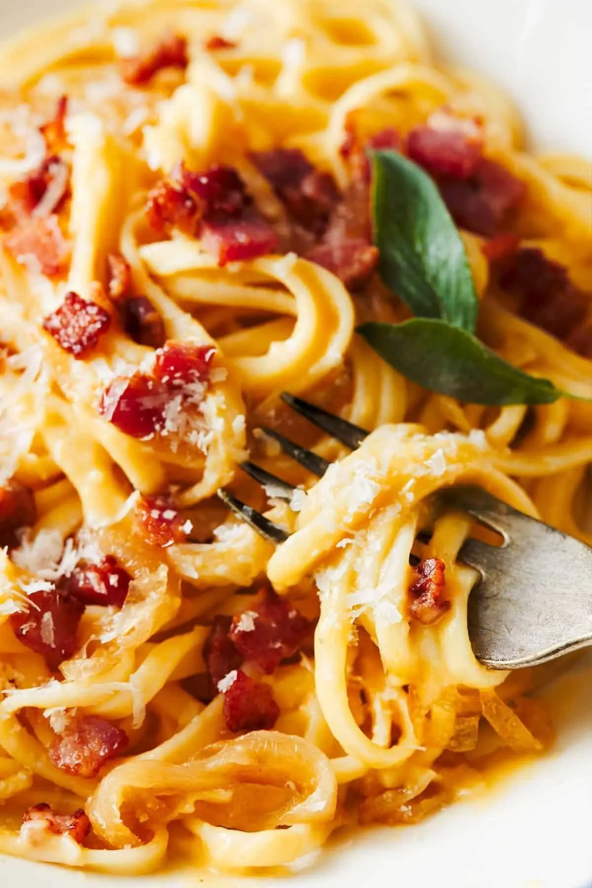 Creamy Squash Fettuccine with Caramelized Onion and Pancetta Recipe - Pinch of Yum