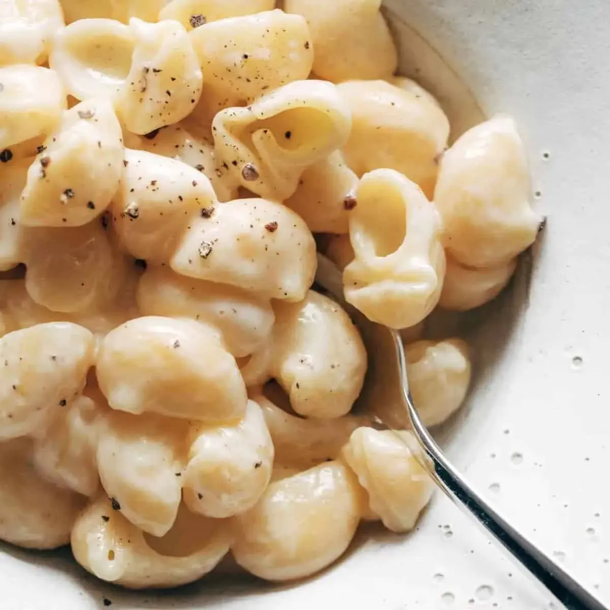 Garlic Parmesan Shellbows