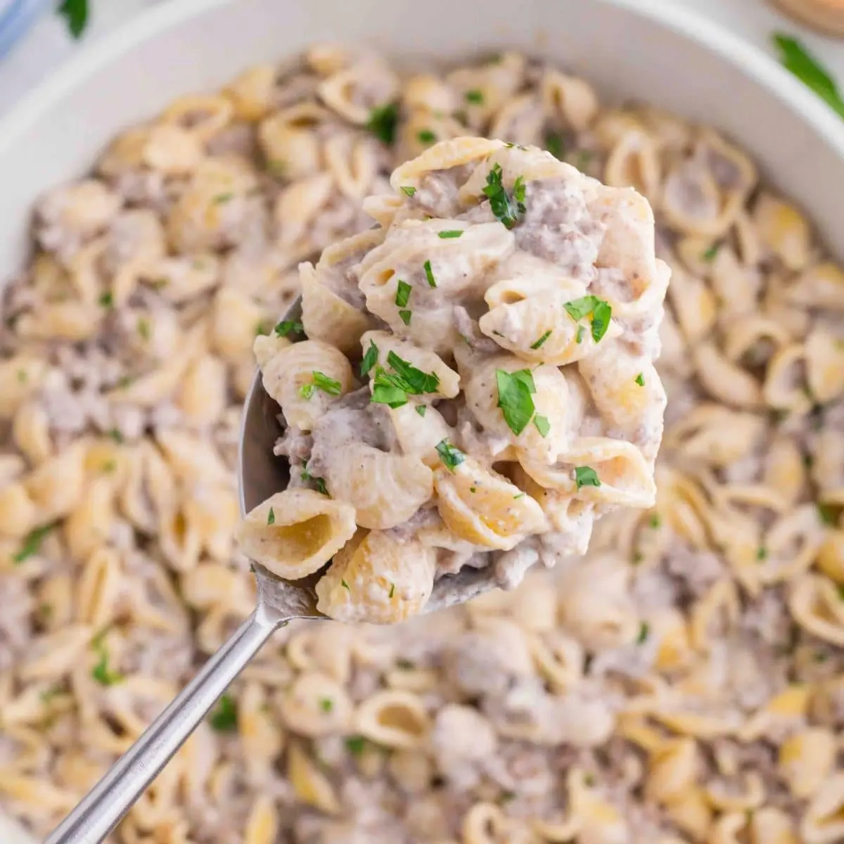 Ground Beef Alfredo