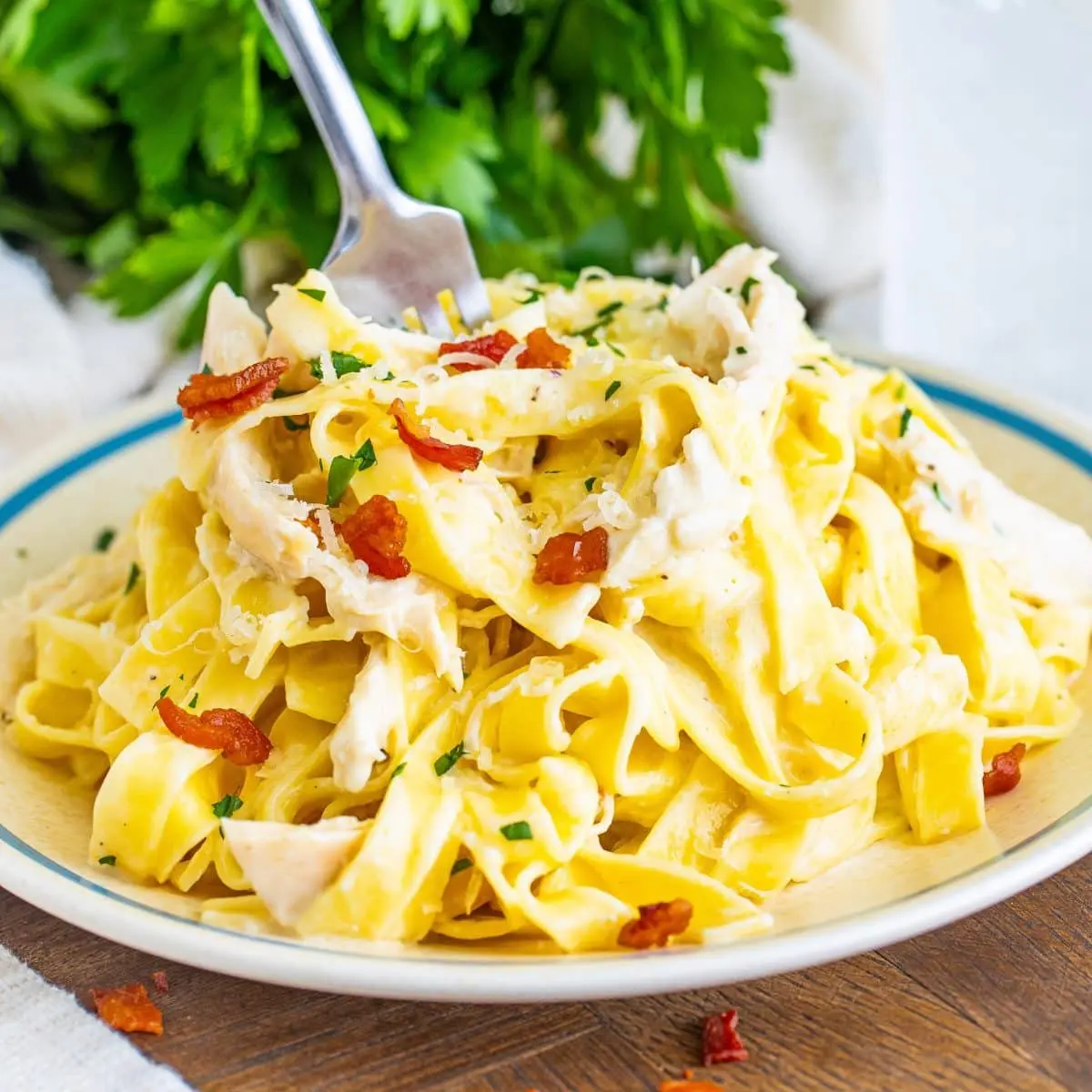Bacon Chicken Alfredo