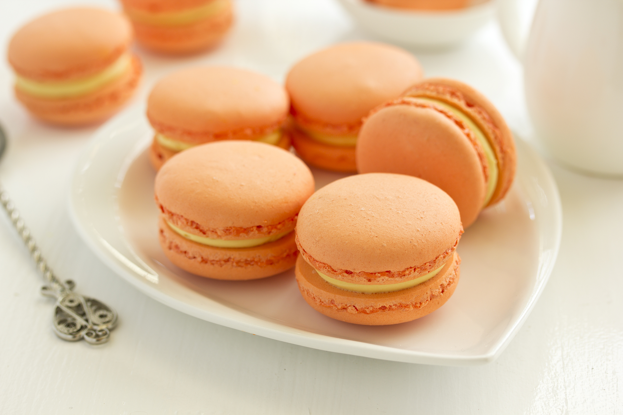 Decadent Chocolate Apricot French Macaron Delight