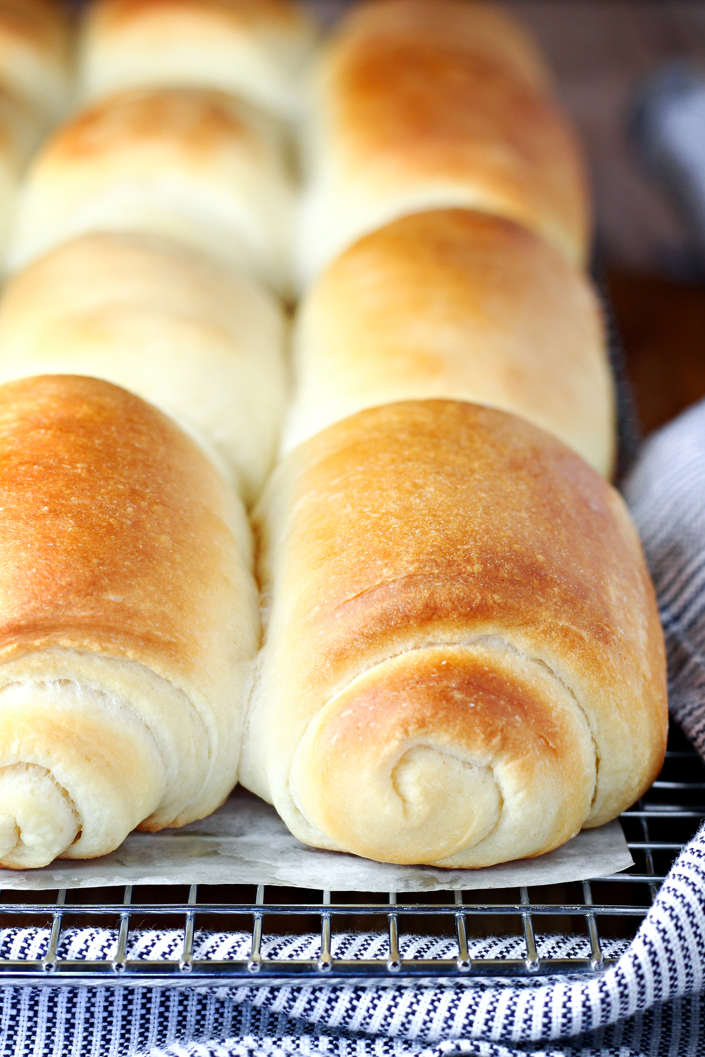 Soft Homemade Dinner Rolls That Melt in Your Mouth