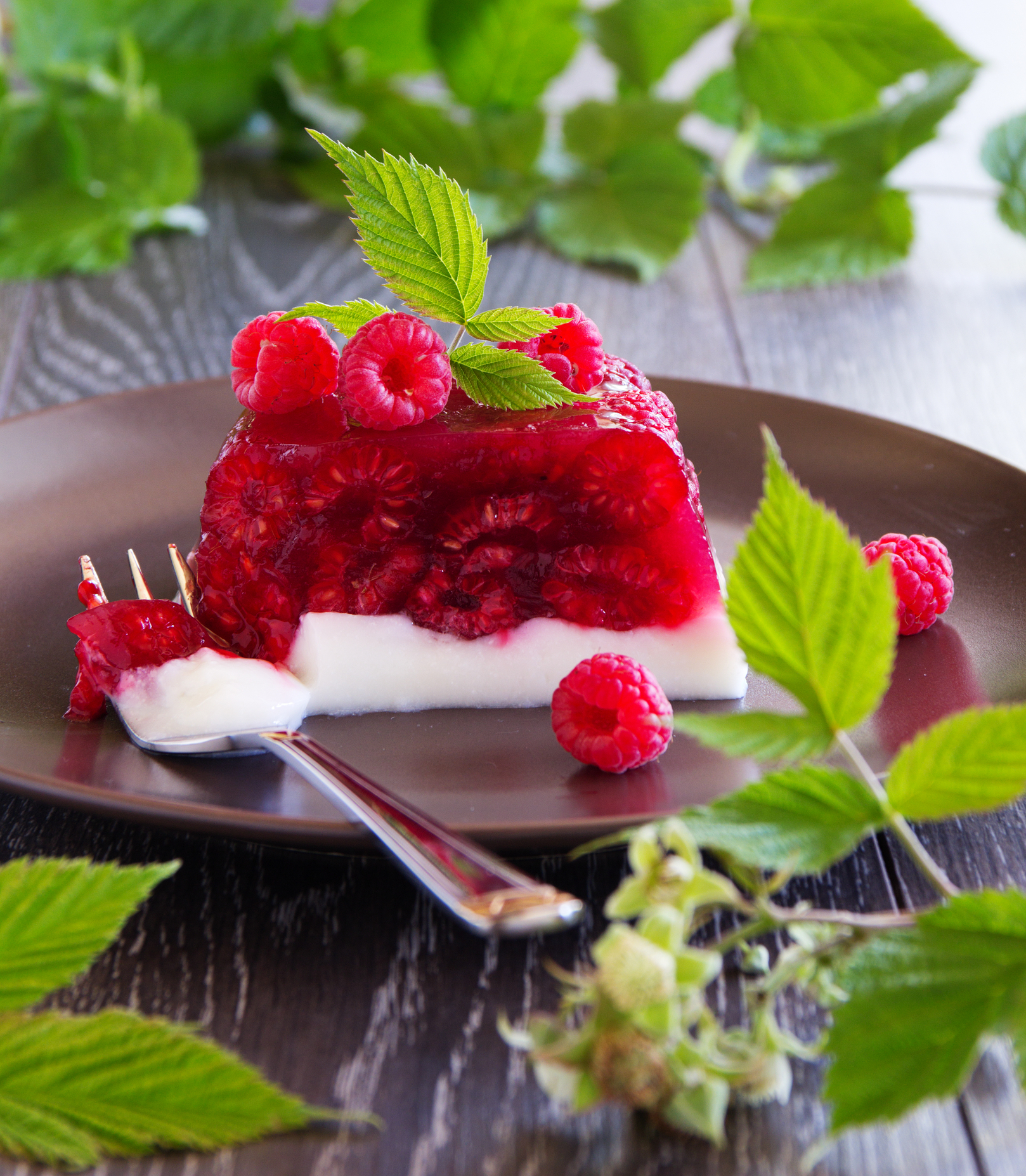 Easy Raspberry Jelly Cream Dessert Recipe