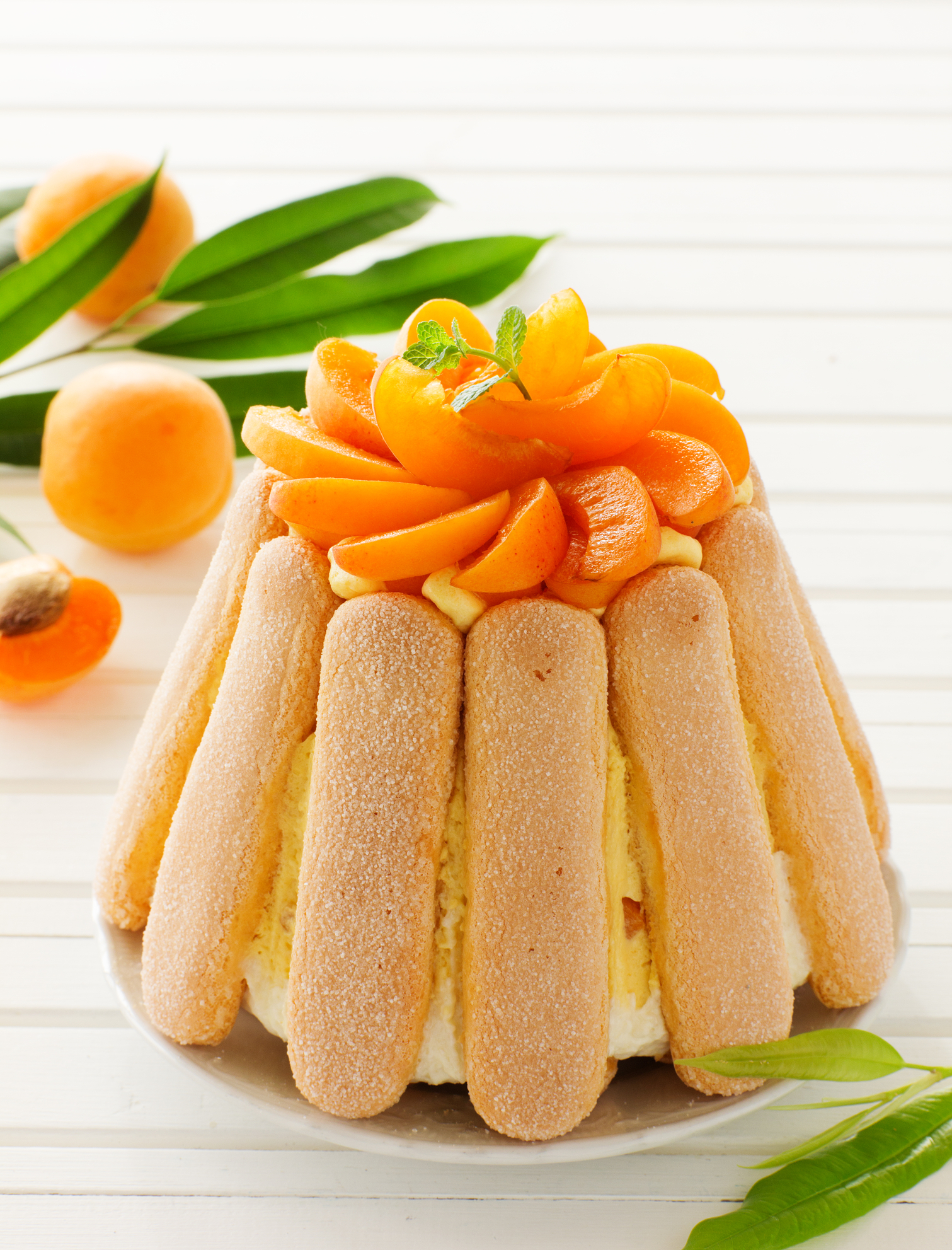 Summer Fruit Cake Charlotte with Apricots