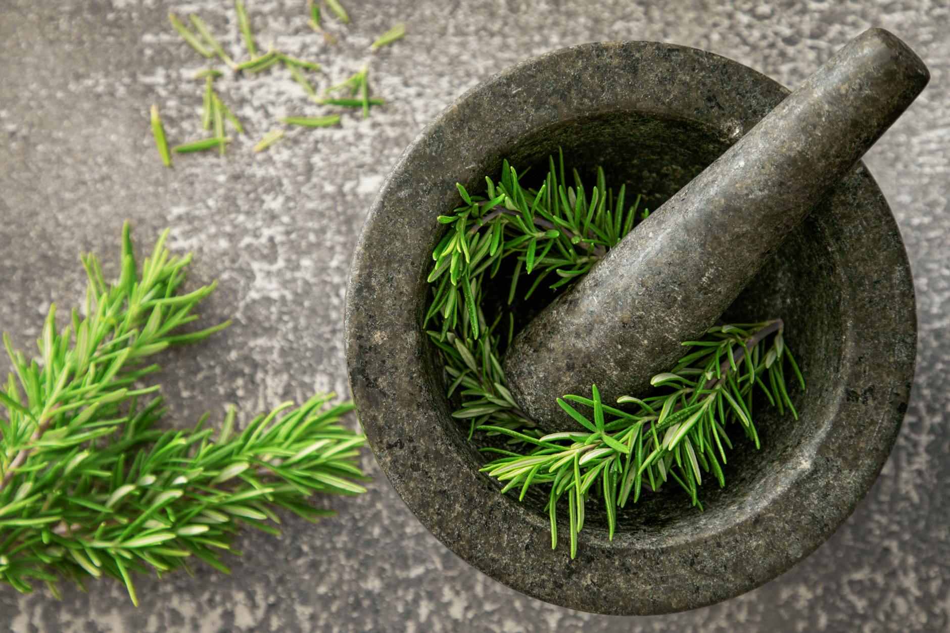 Rosemary for Mind Body Ancient Healing Wisdom
