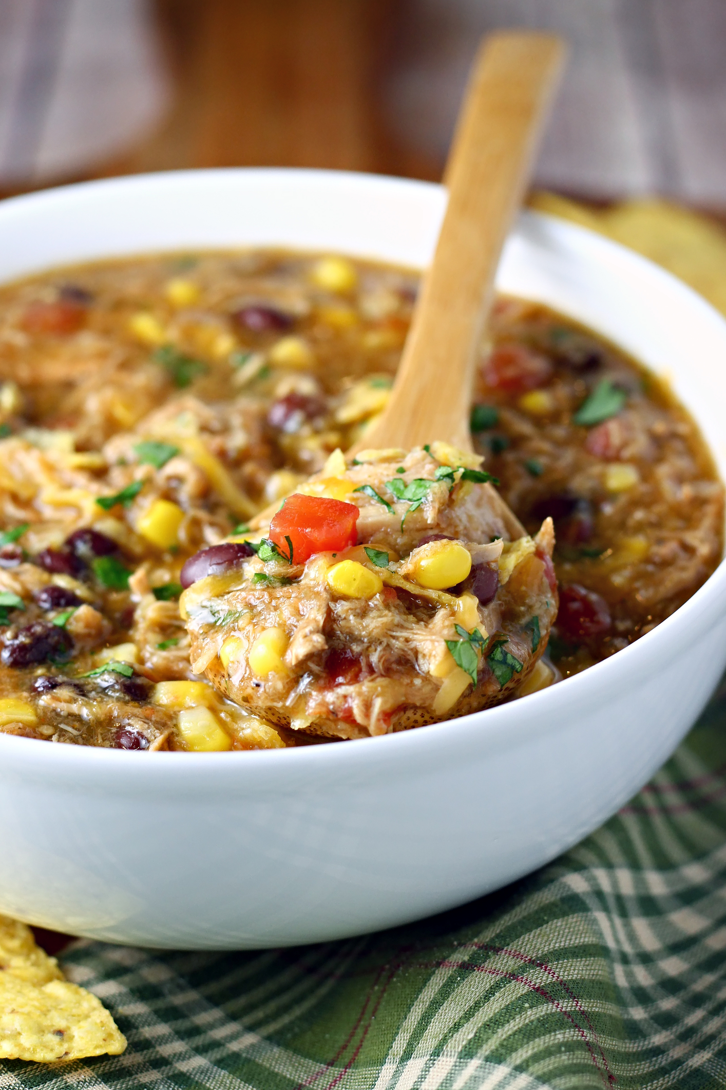 Hearty Pork Stew with Crunchy Tortilla Chips