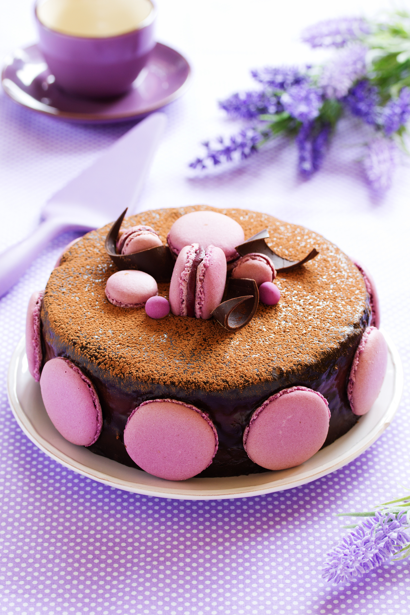Rich Chocolate Black Currant Layer Cake Recipe