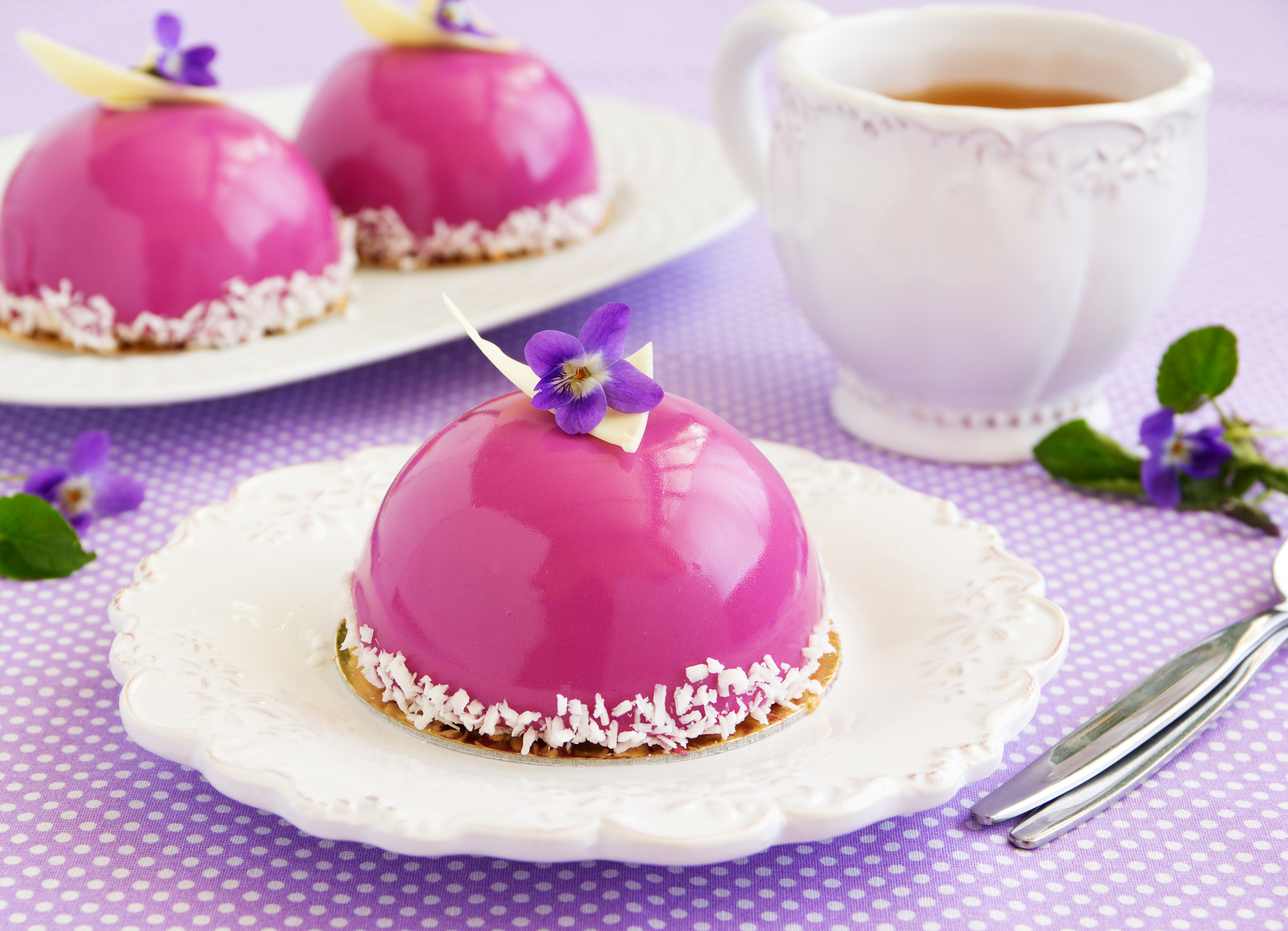Bush Blueberry Cake with Cream and Mousse Layers