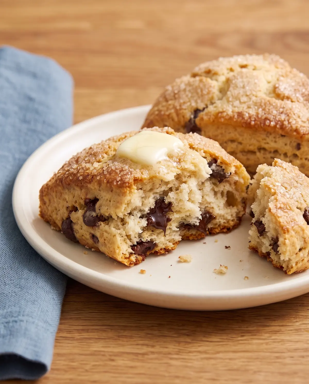 Chocolate chip scone from a side angle on a small plate