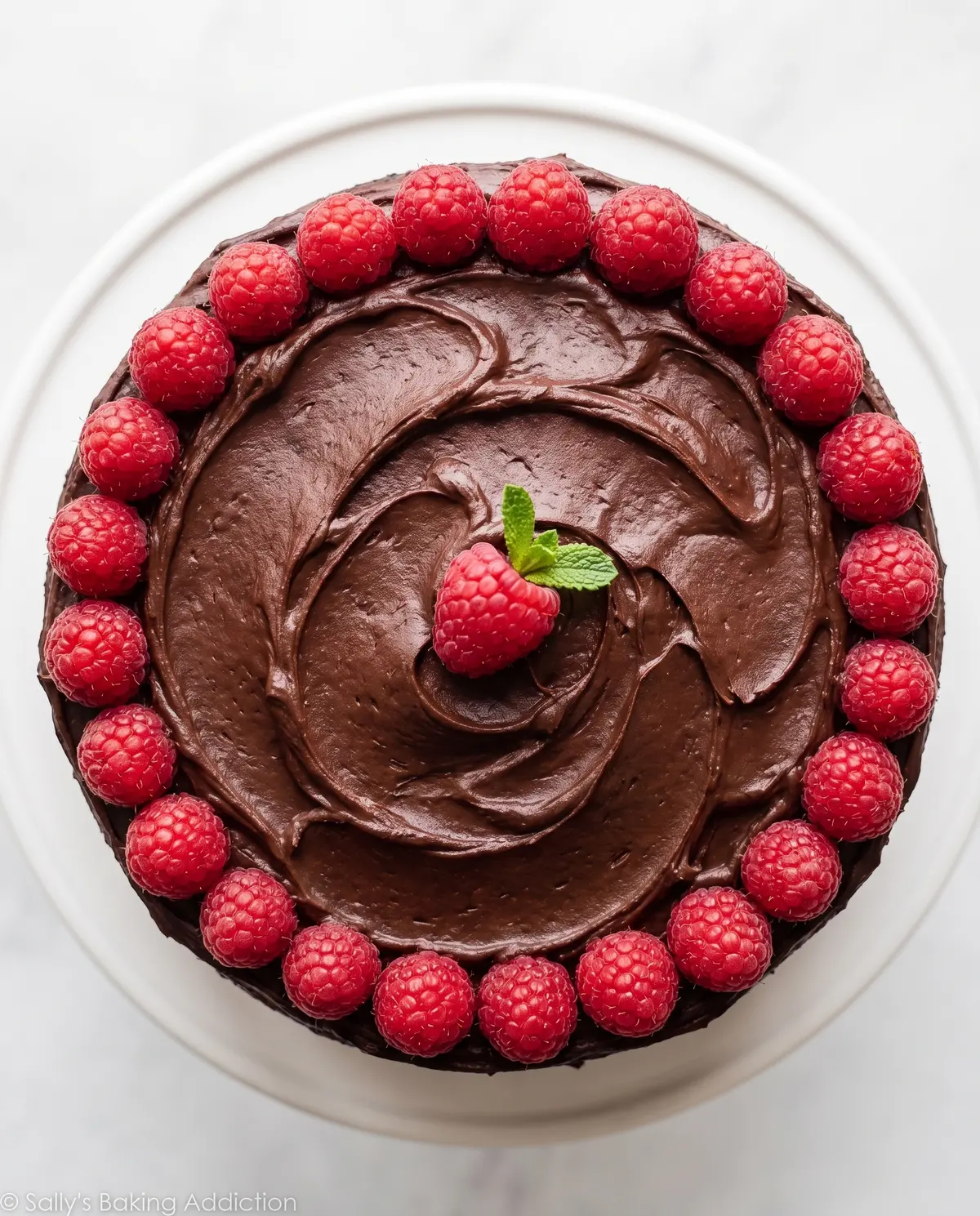 Top of chocolate raspberry cake from directly overhead