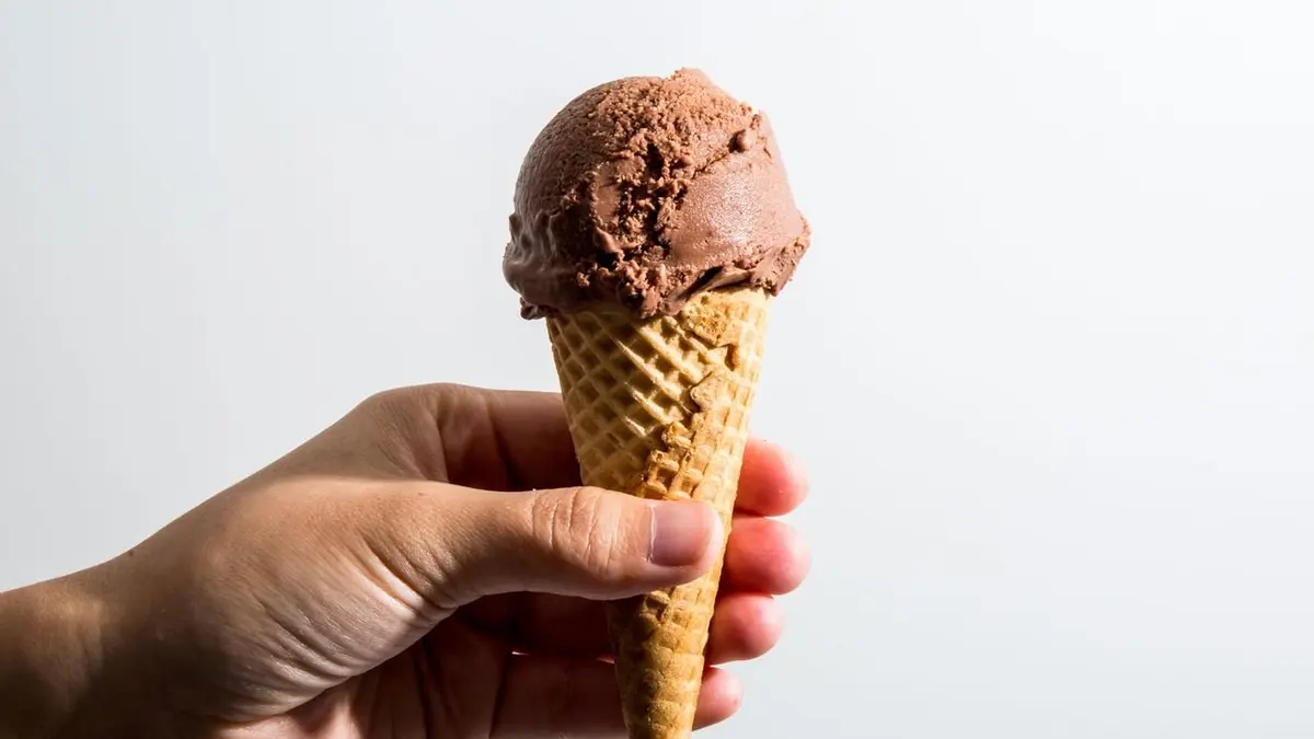 Chocolate Soy Vegan Ice Cream