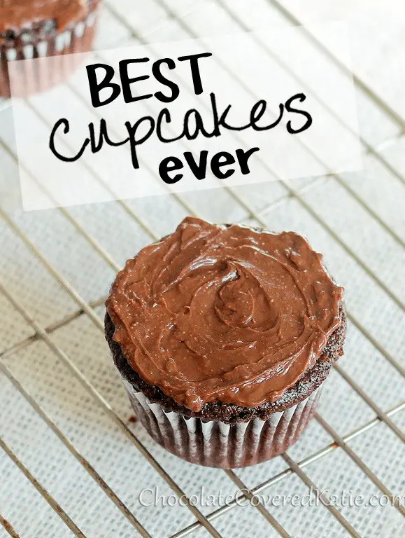 Chocolate Mayonnaise Cupcakes