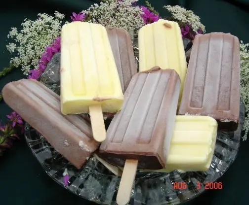Frozen Fudge Pops recipe