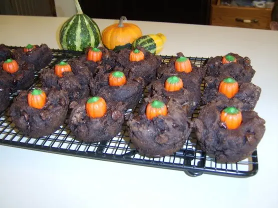 Fat Free Chocolate Muffins
