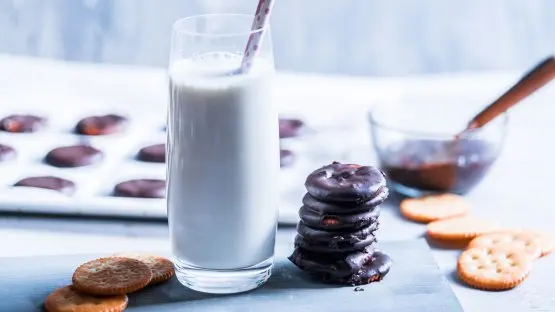 Girl Scout Chocolate Mint Cookies Copycat