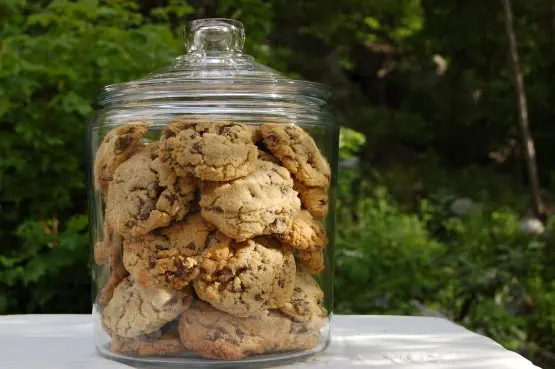 St Benedicts Chocolate Chip Cookies