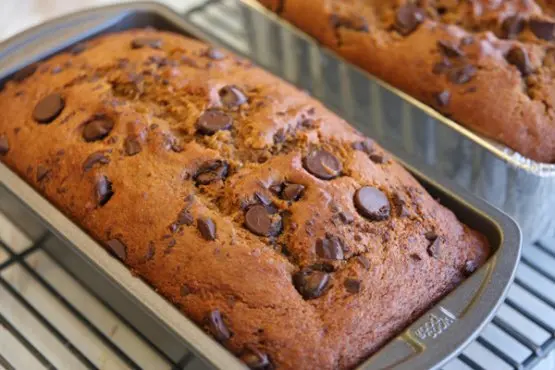 Vegan Chocolate Chip Pumpkin Bread Recipe