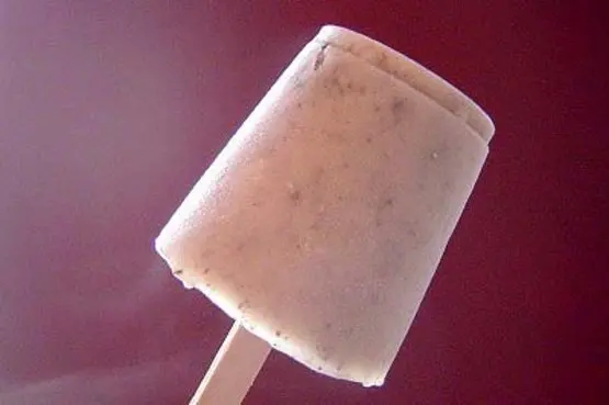 Frozen Pudding Pops Recipe