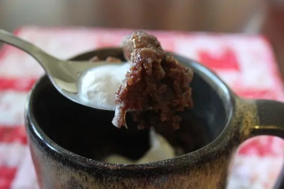 Brownie in a Mug (6 Variations) Recipe