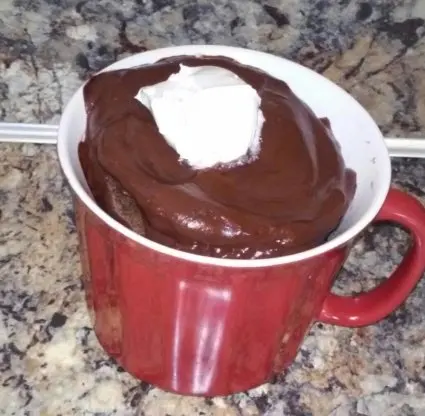 Quick Low Carb Chocolate Pudding Cake in a Microwave Mug Recipe