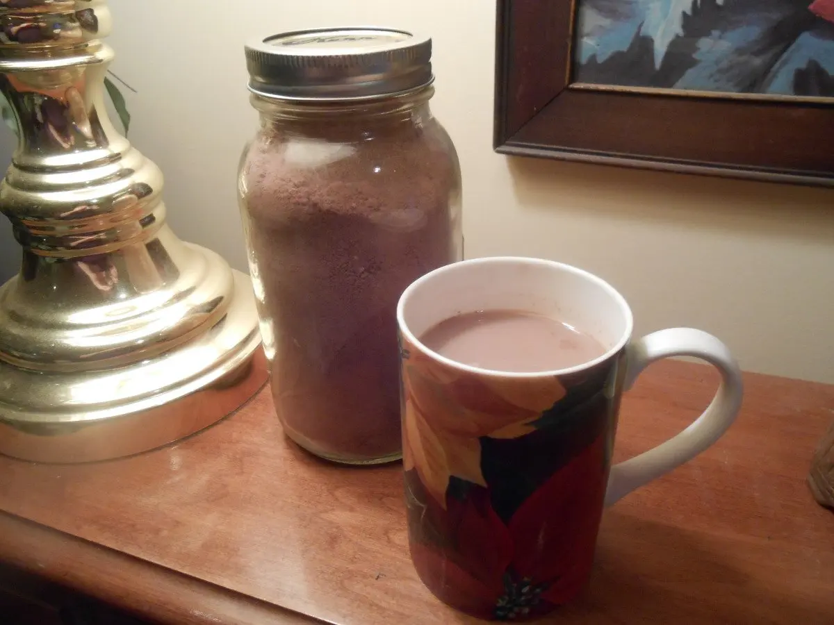 Sugar Free-Fat Free- Cinnamon Hot Chocolate Mix