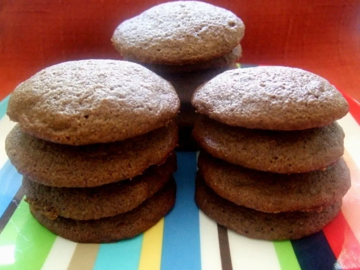 Low Sugar Double Chocolate Chip Cookies