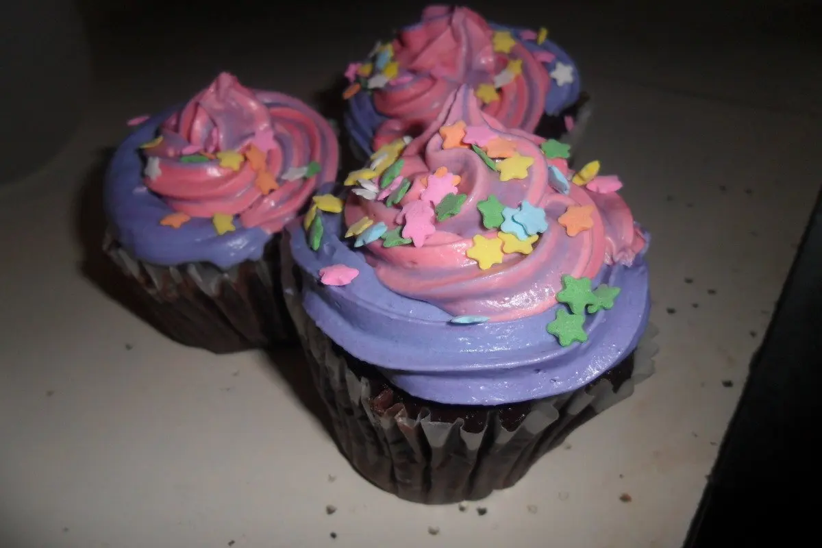Fudgy Chocolate Cupcakes (Or Cake)