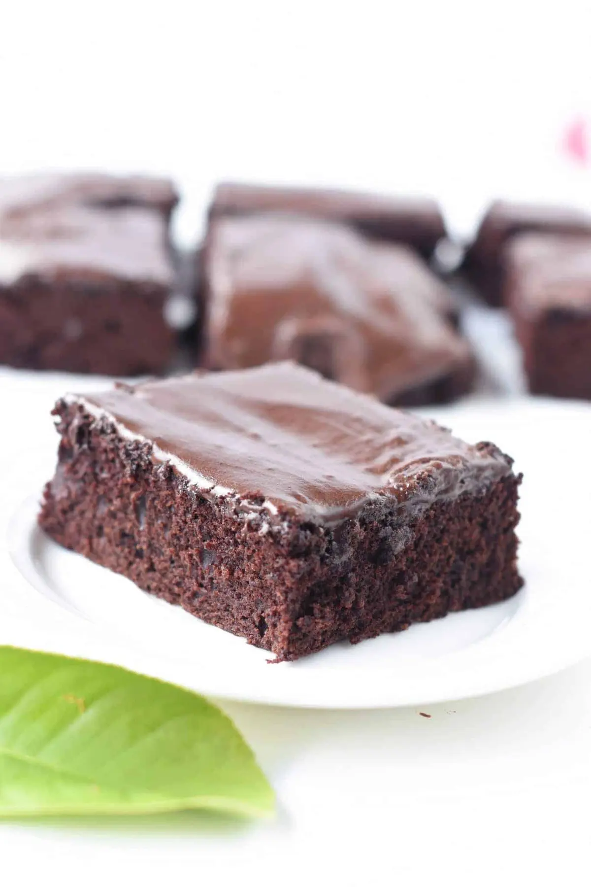 Crazy Chocolate Cake (Dairy-Free, Egg-Free)