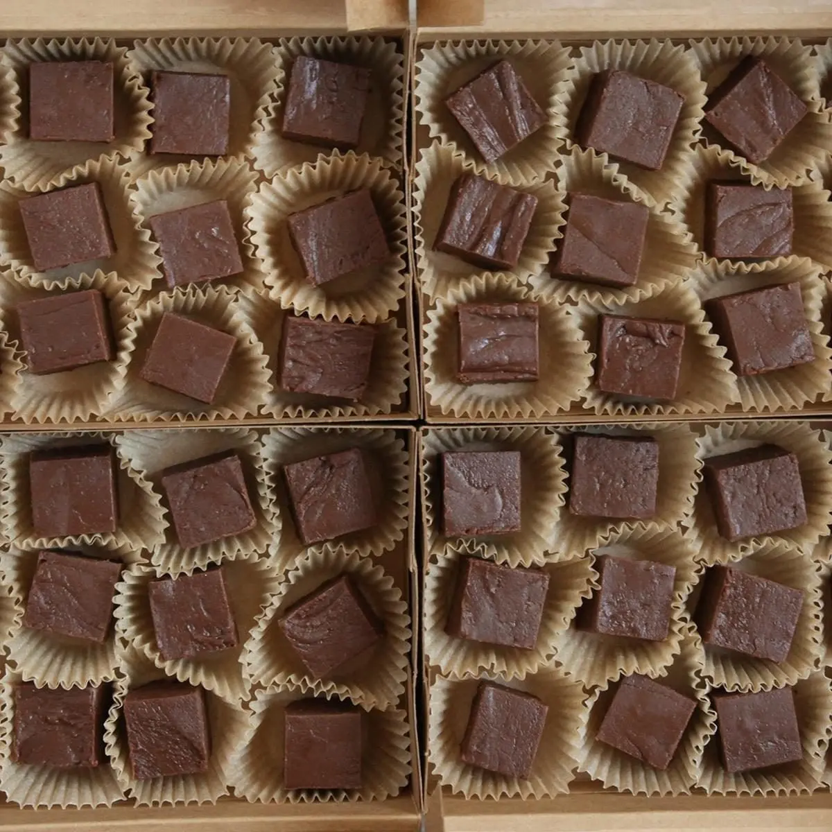 Mackinac Fudge