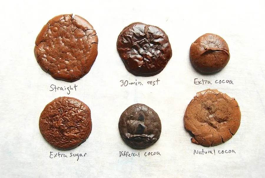 Flourless Fudge Cookies